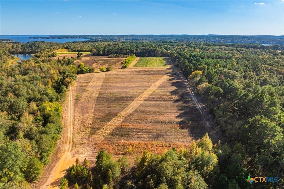 650 acres in Henderson County - photo 21