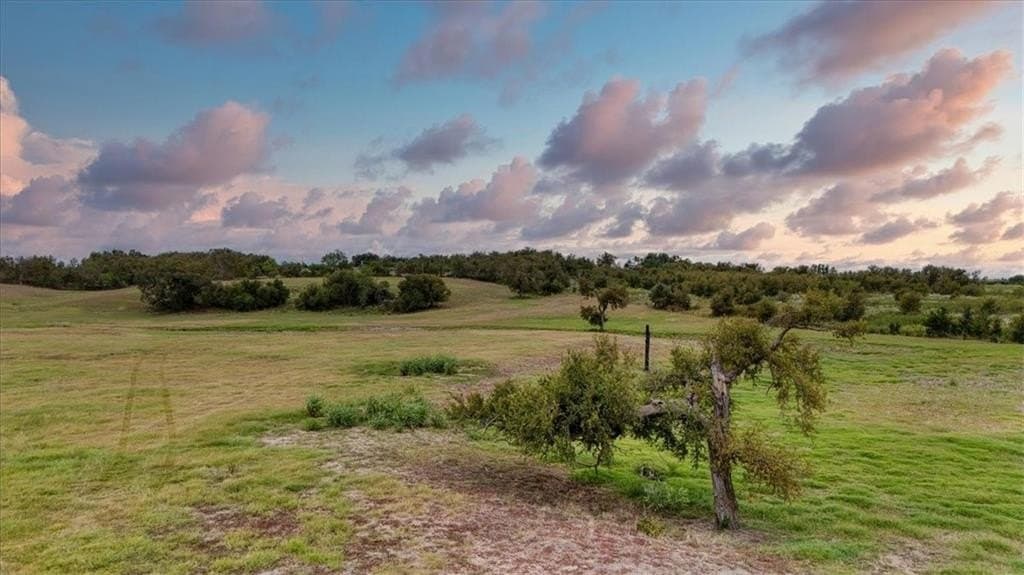 234 acres in Falls County - photo 15