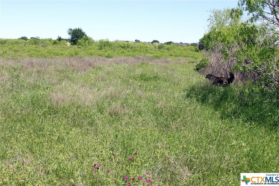 10.22 acres in Caldwell County - photo 28