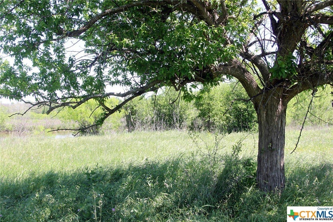 10.22 acres in Caldwell County - photo 5