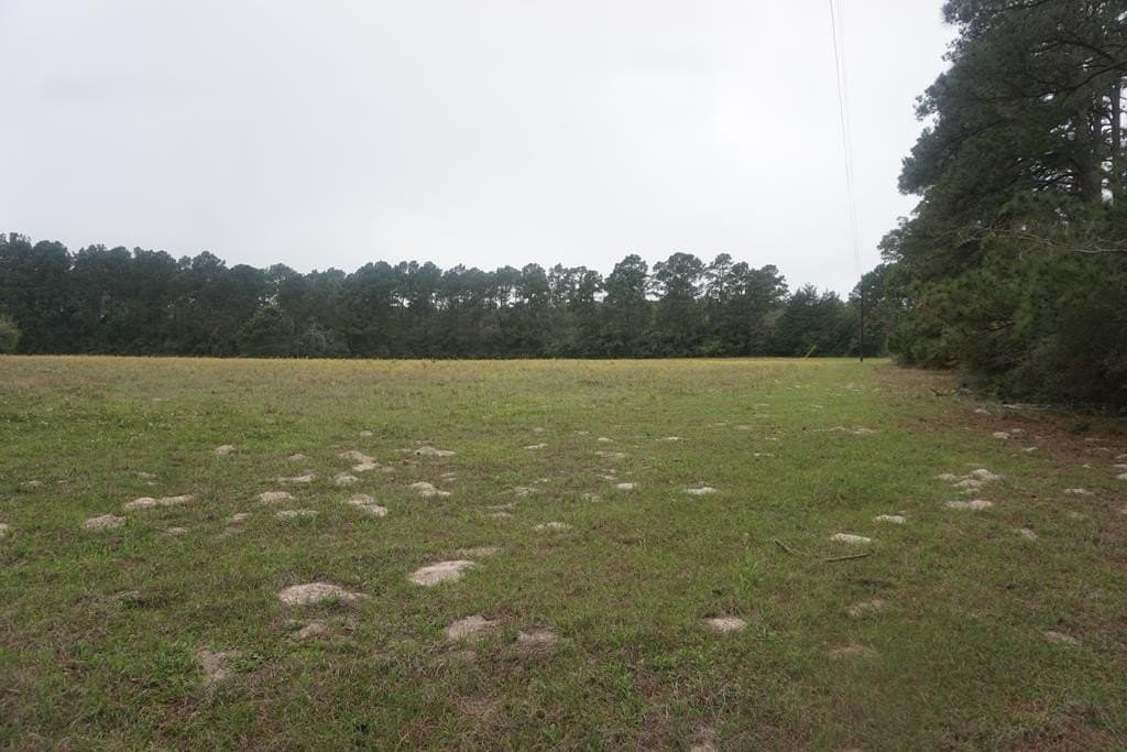 10 acres in Grimes County - photo 2
