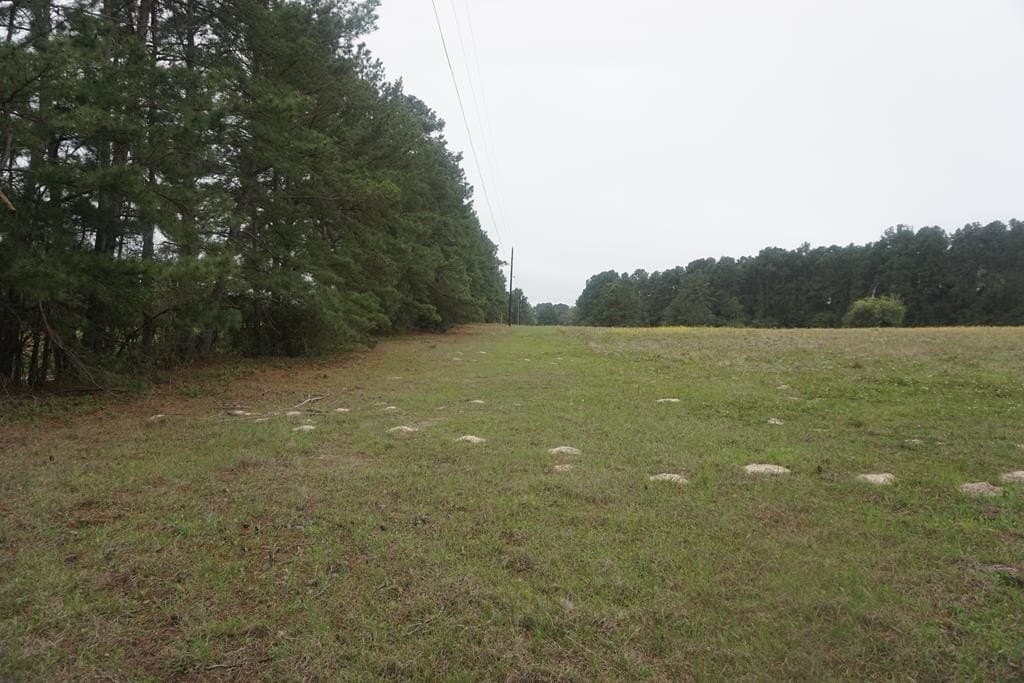 10 acres in Grimes County - photo 3