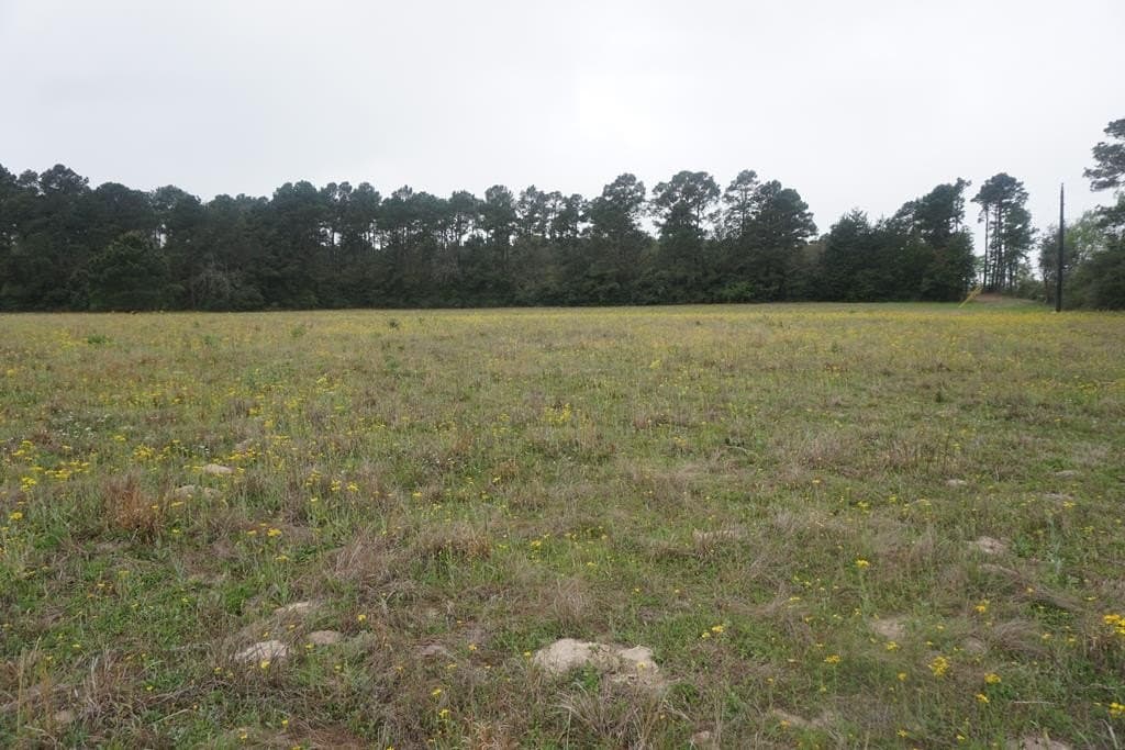 10 acres in Grimes County - photo 4
