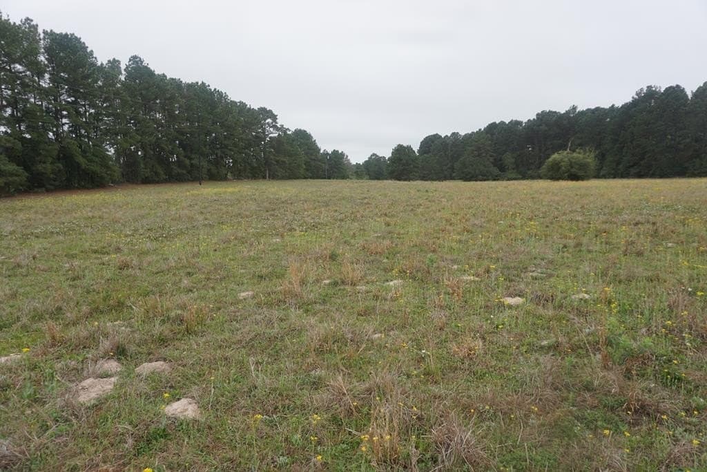 10 acres in Grimes County - photo 5