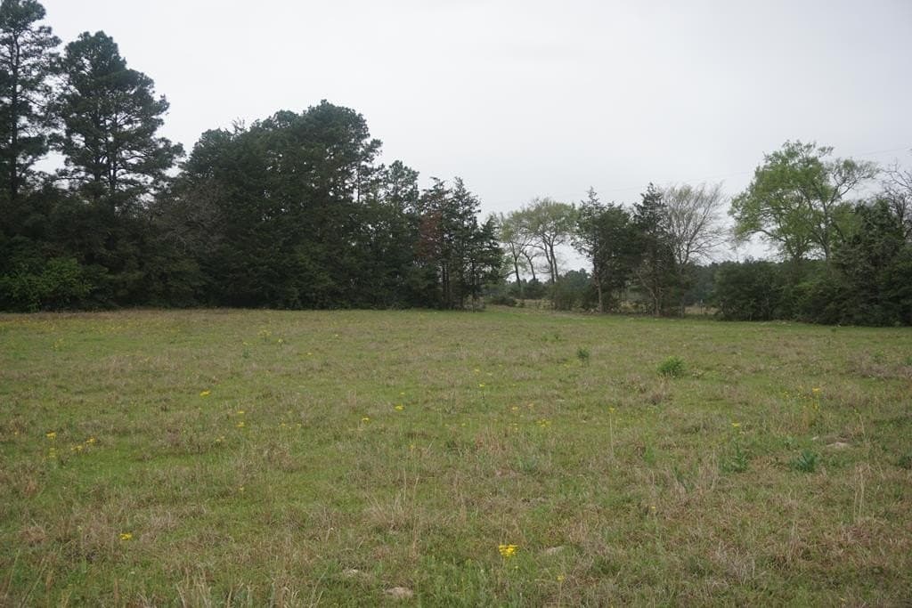 10 acres in Grimes County - photo 6