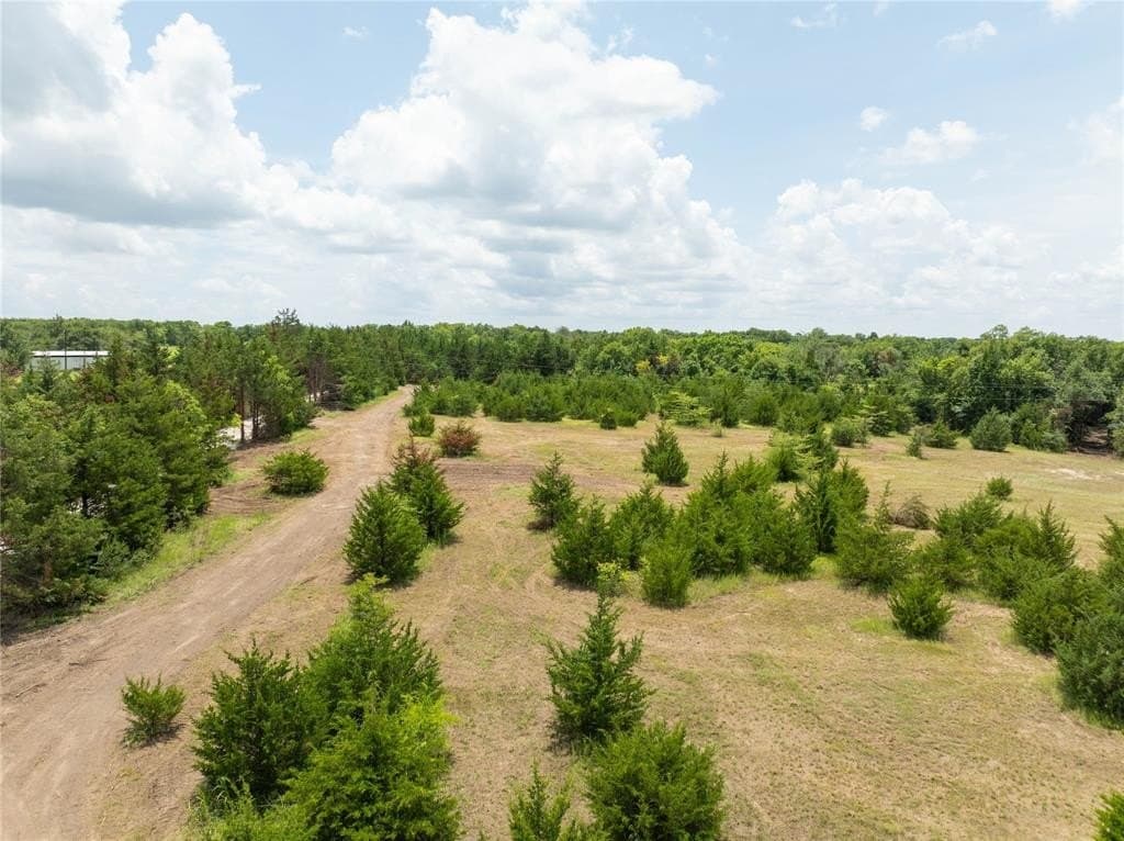 7 acres in Fannin County - photo 5