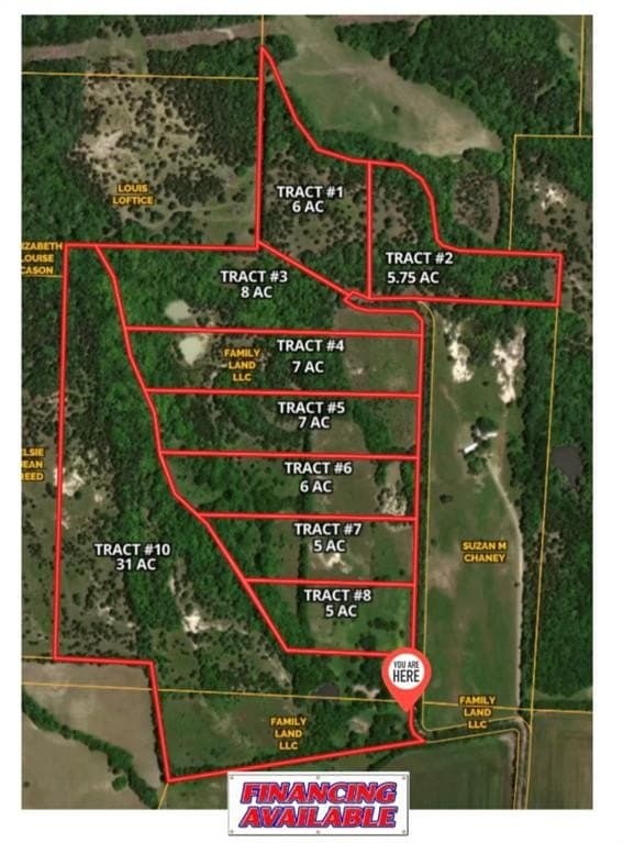 7 acres in Fannin County - photo 13