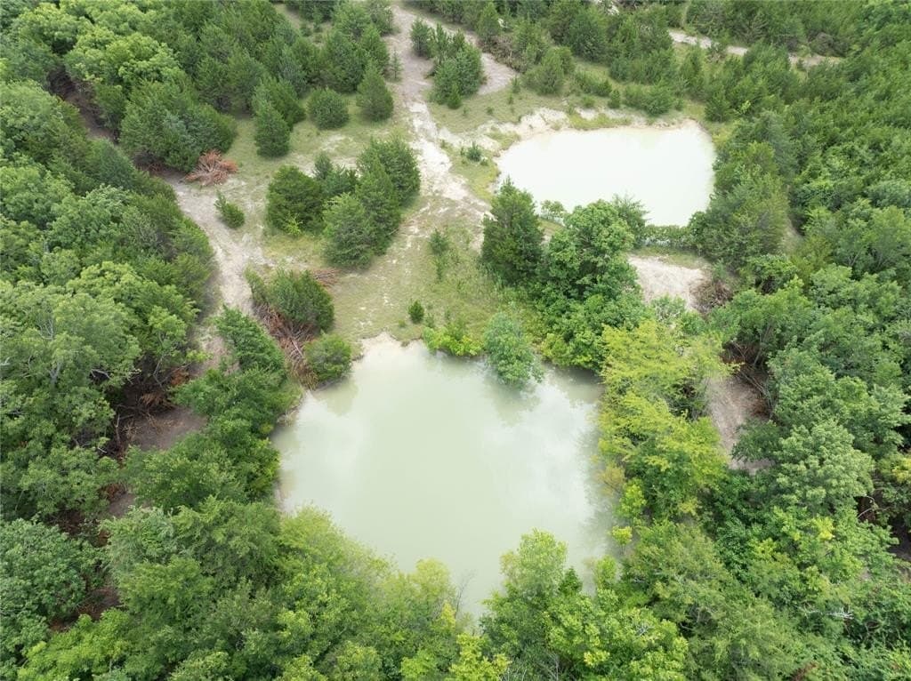 7 acres in Fannin County - photo 12