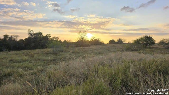 22 acres in Lavaca County - photo 6
