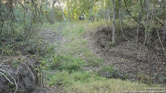 22 acres in Lavaca County - photo 4