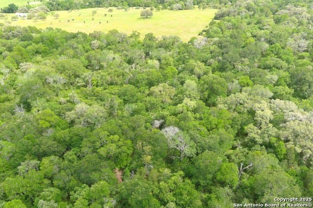 22 acres in Lavaca County - photo 11
