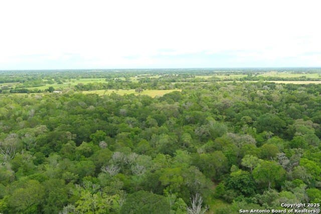 22 acres in Lavaca County - photo 3