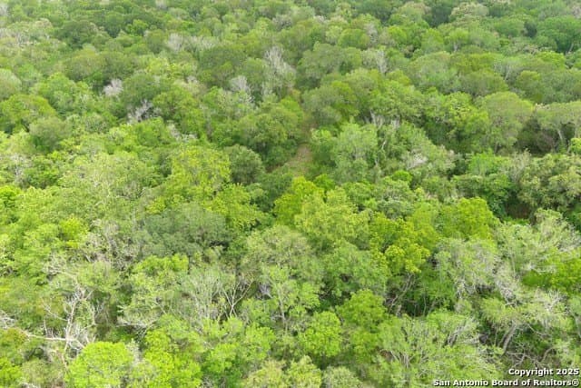 22 acres in Lavaca County - photo 7