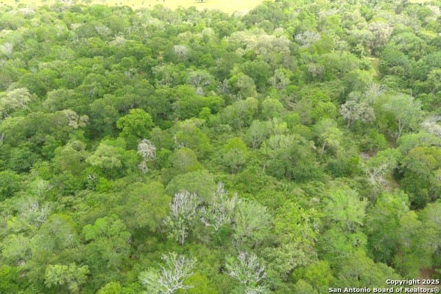 22 acres in Lavaca County - photo 9