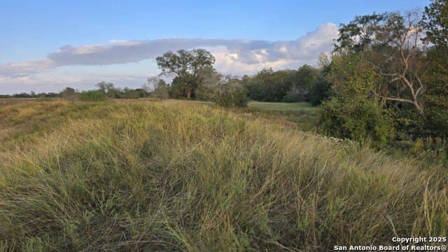 22 acres in Lavaca County - photo 10