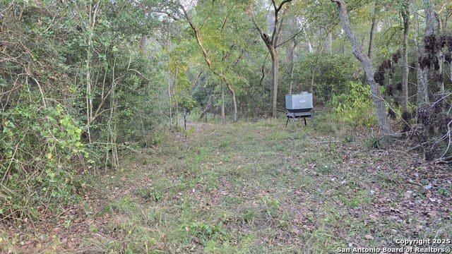 22 acres in Lavaca County - photo 5