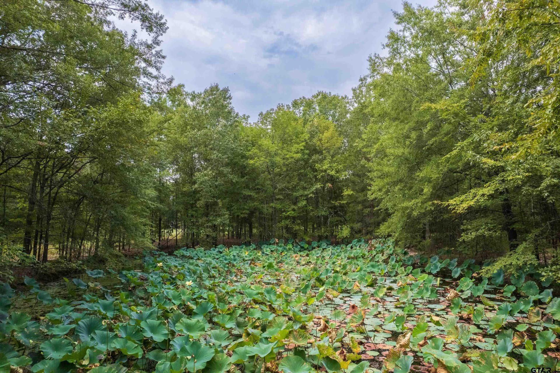 26.29 acres in Franklin County - photo 9