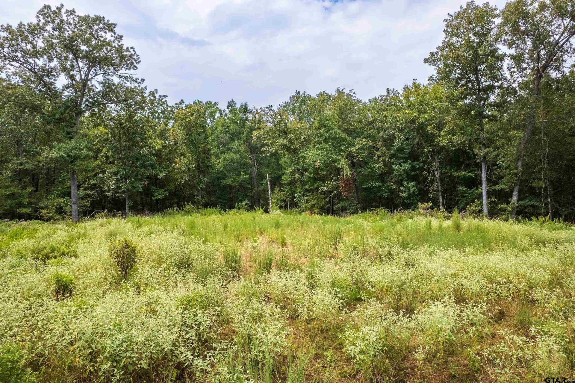 26.29 acres in Franklin County - photo 5