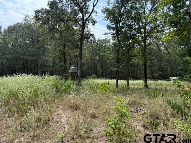 26.29 acres in Franklin County - photo 7