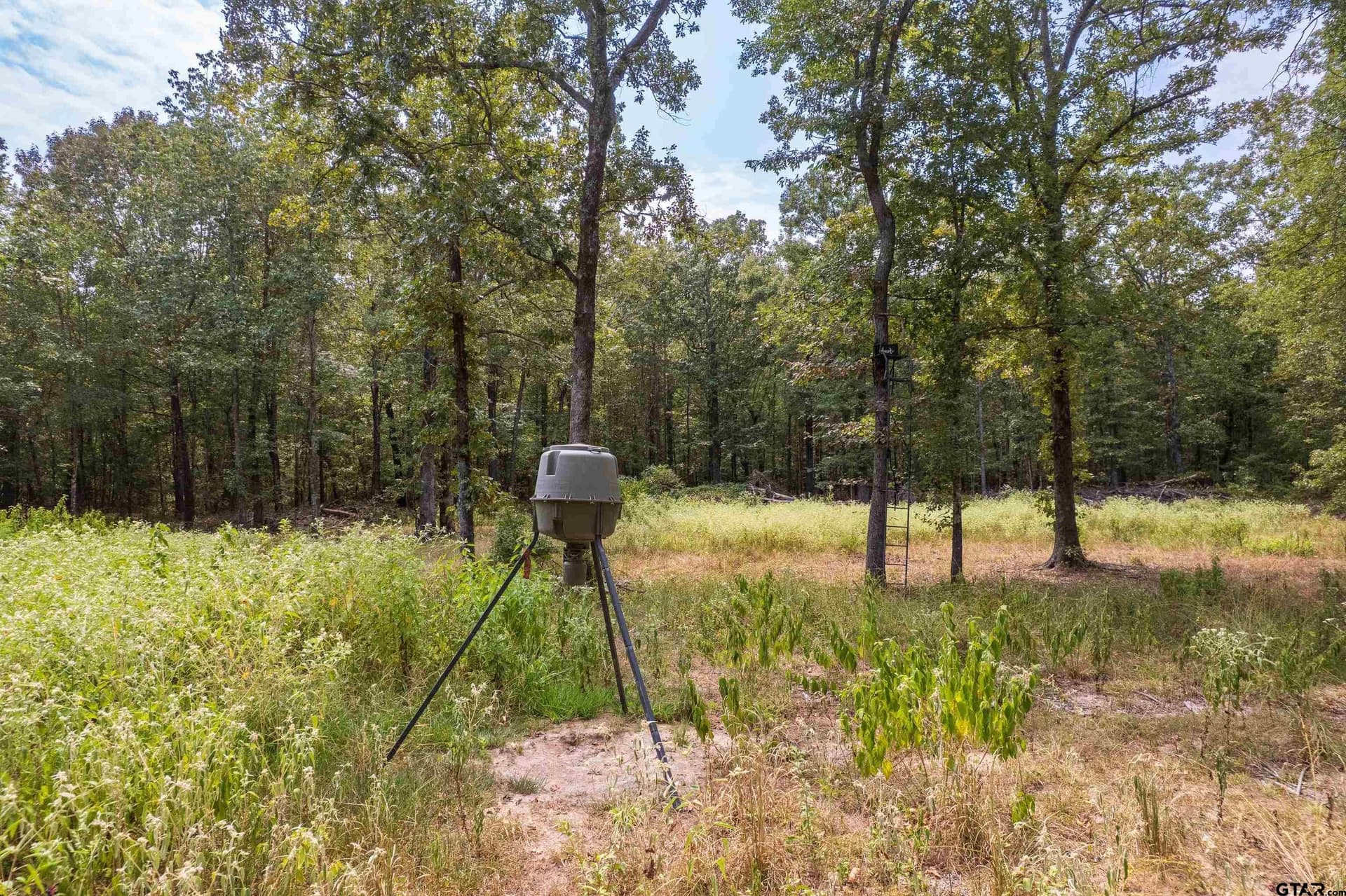 26.29 acres in Franklin County - photo 8