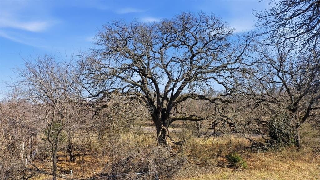 89 acres in Parker County - photo 39