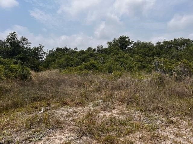 1.5 acres in San Patricio County - photo 2