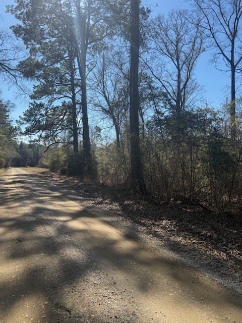 40.88 acres in Texas County - photo 5