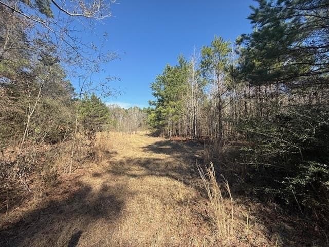 40.88 acres in Texas County - photo 8