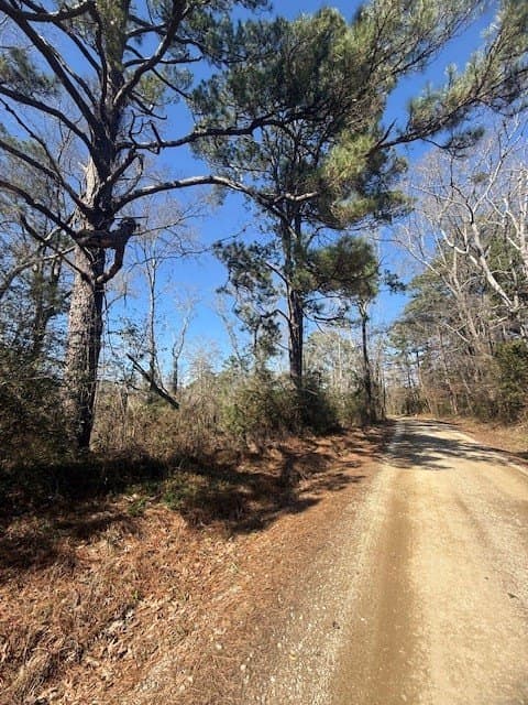 40.88 acres in Texas County - photo 4
