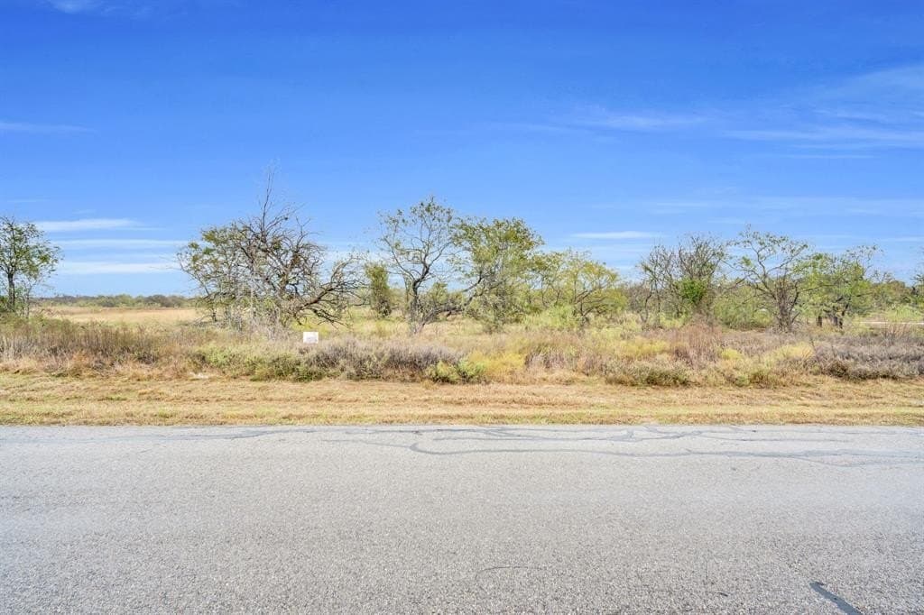 1 acres in Navarro County - photo 8