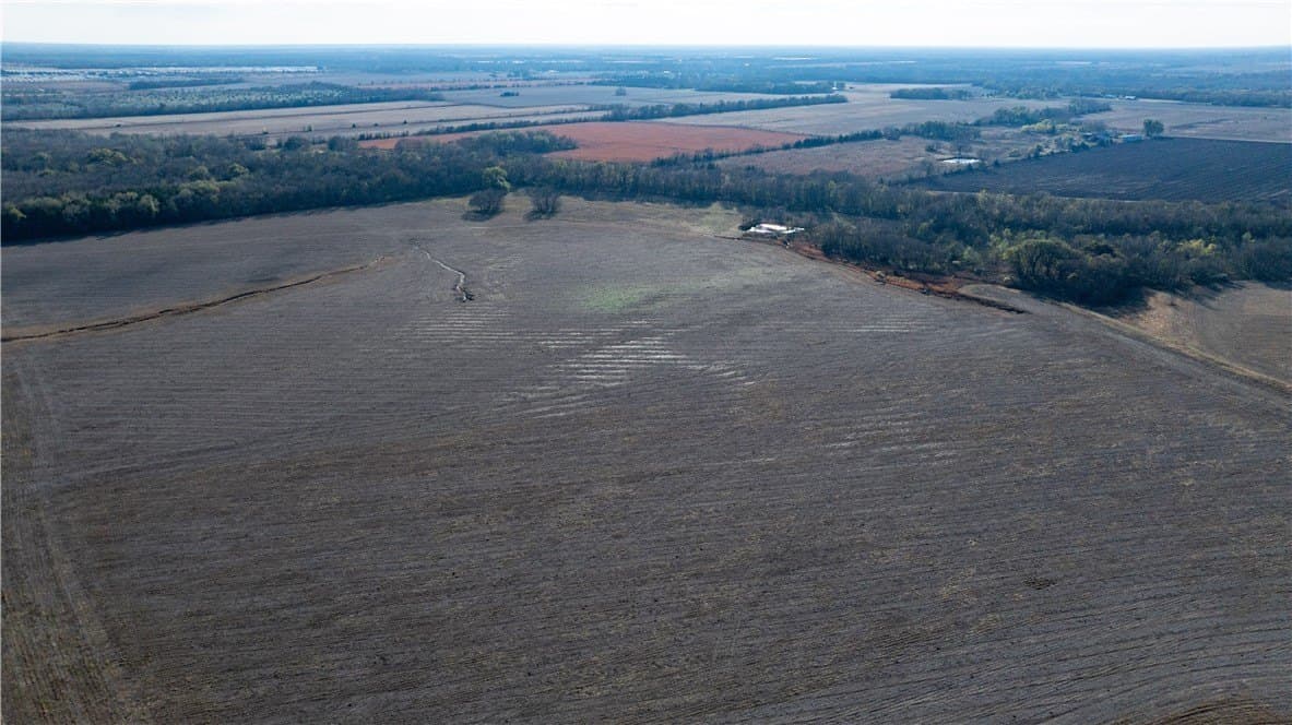 21.33 acres in Red River County - photo 12