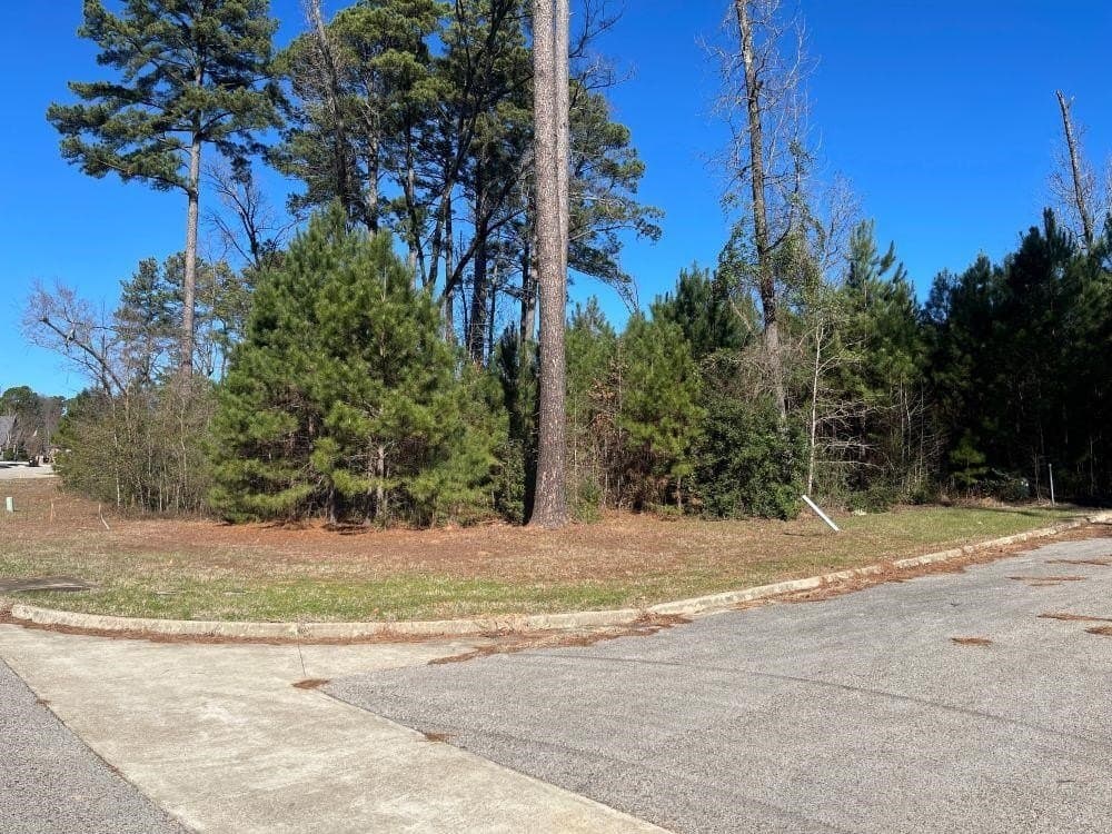 0.22 acres in Gregg County - photo 5