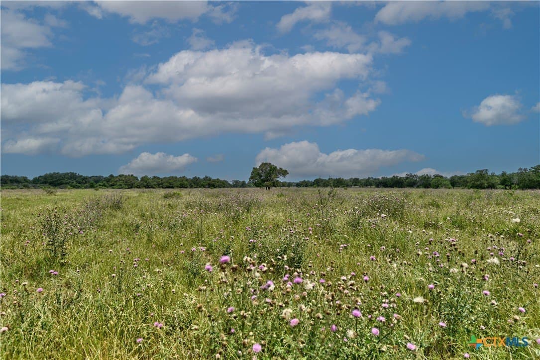 107.18 acres in Fayette County - photo 7