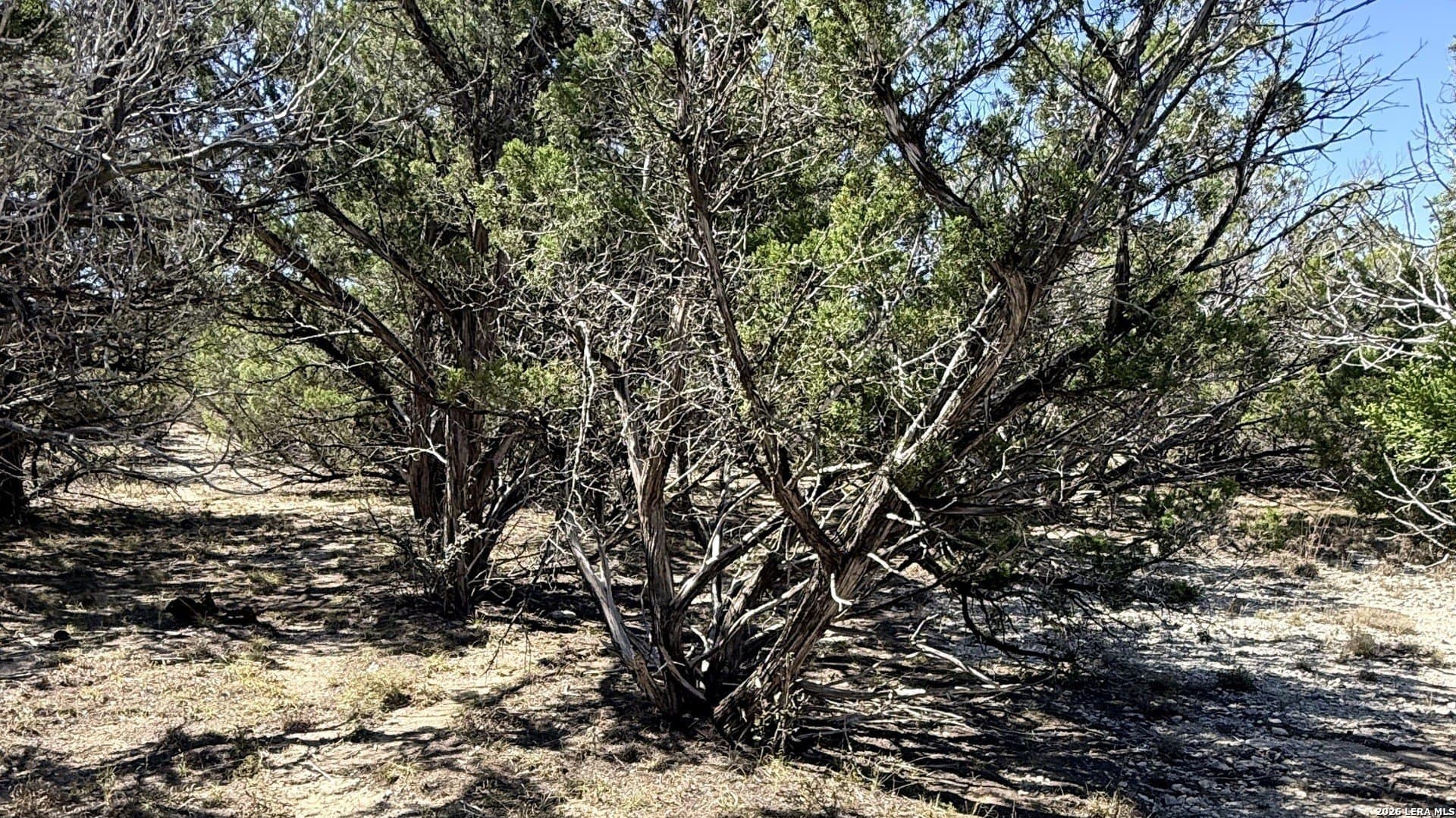 0.05 acres in Bandera County - photo 4