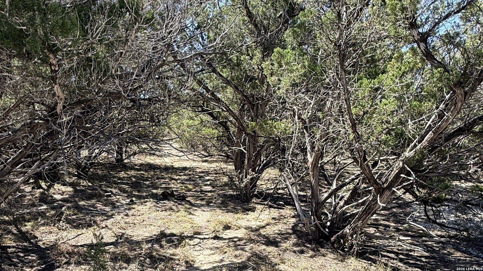 0.05 acres in Bandera County - photo 5