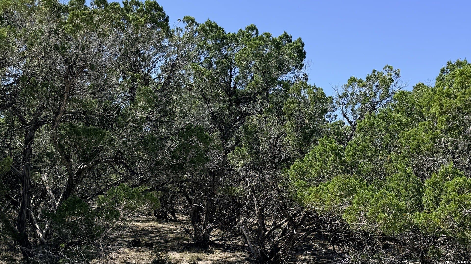 0.05 acres in Bandera County - photo 2