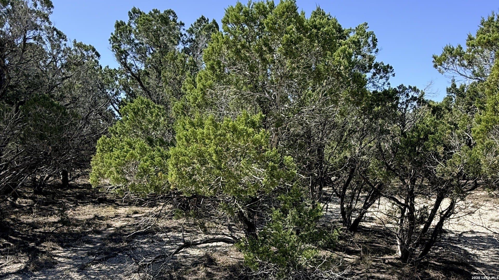 0.05 acres in Bandera County - photo 3