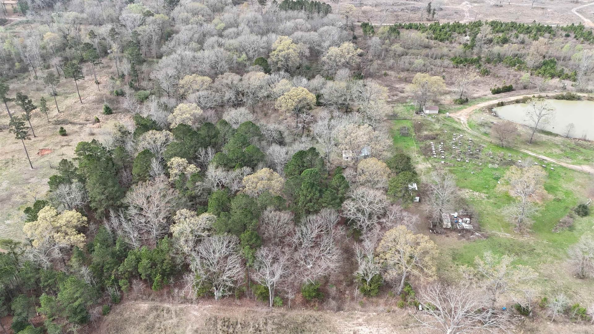 11.06 acres in Morris County - photo 10