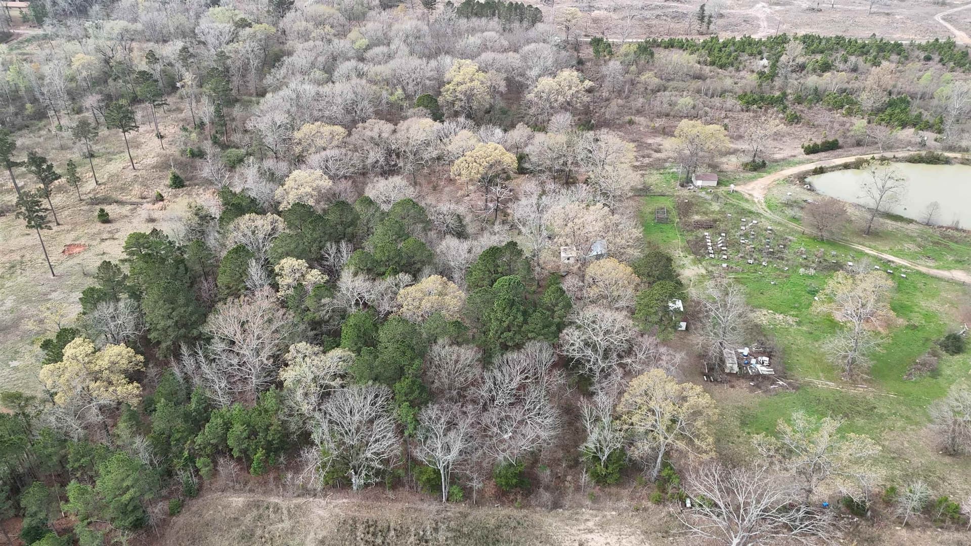11.06 acres in Morris County - photo 9
