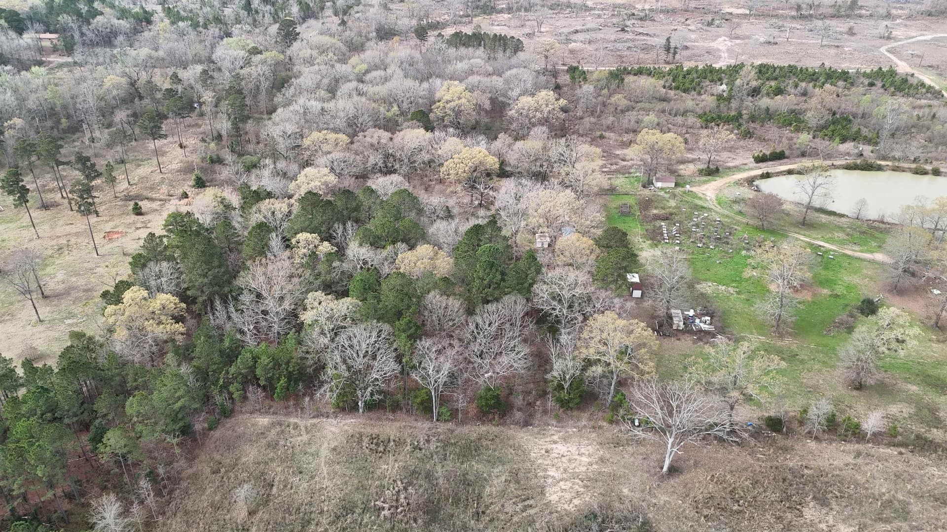 11.06 acres in Morris County - photo 7