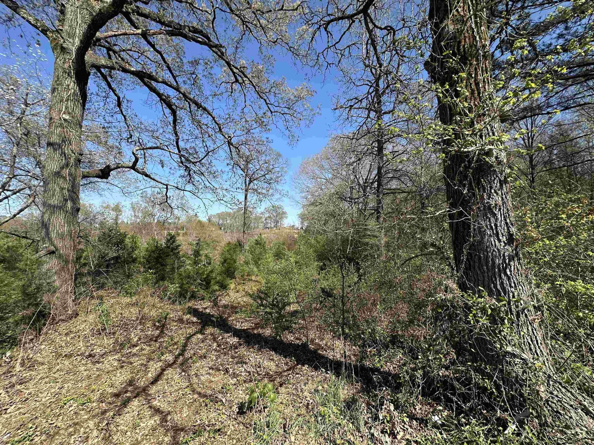 11.06 acres in Morris County - photo 2