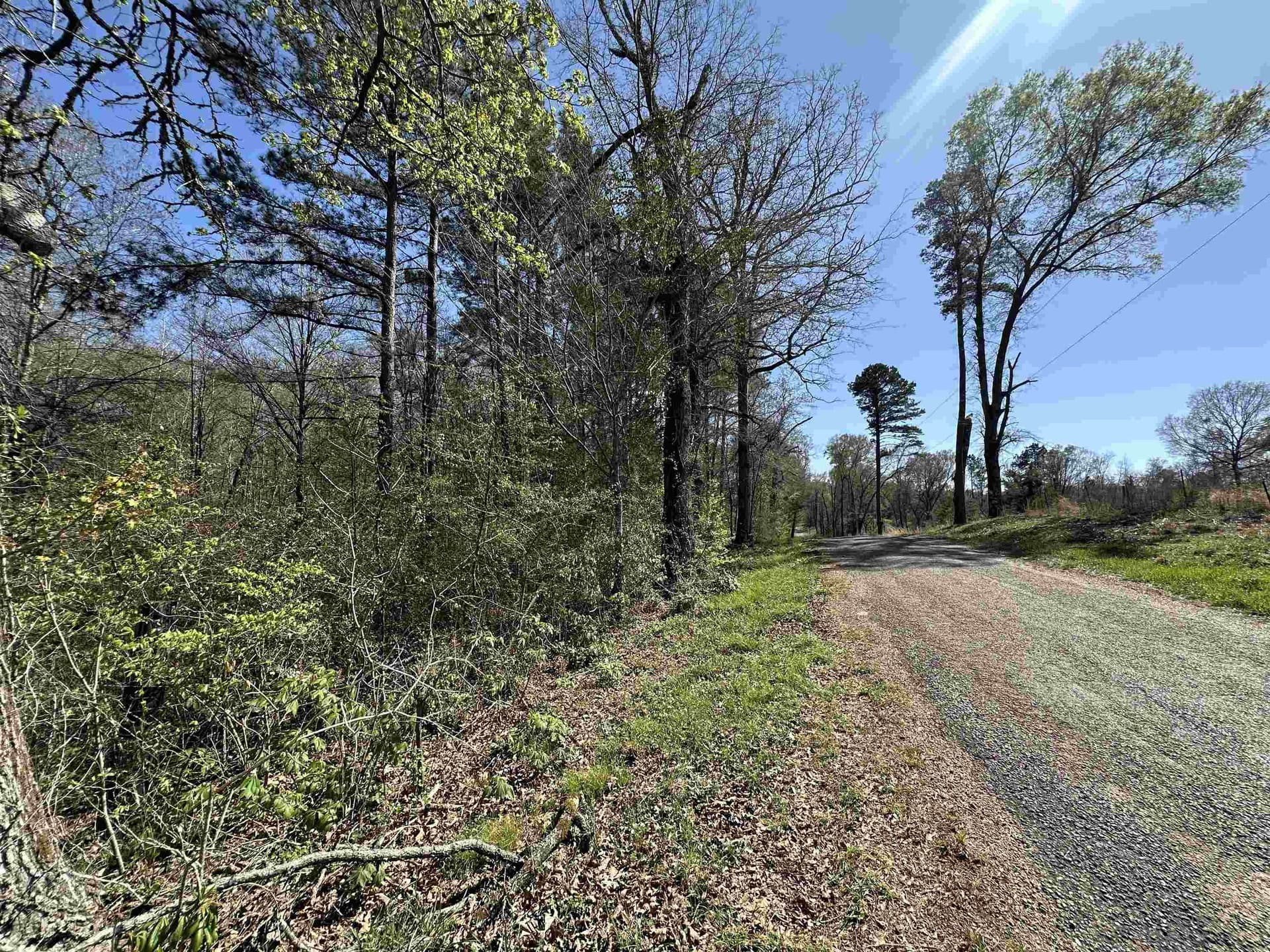 11.06 acres in Morris County - photo 3