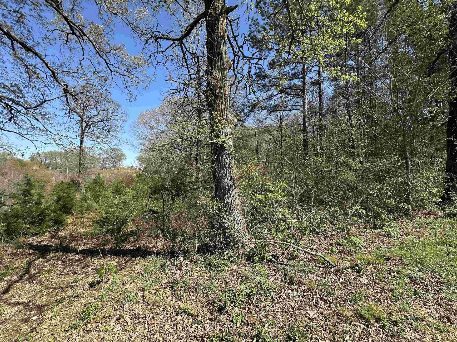11.06 acres in Morris County - photo 4
