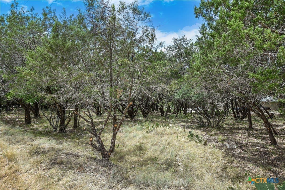 0.24 acres in Travis County - photo 5