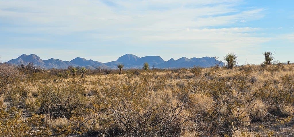 11.5 acres in Brewster County - photo 9