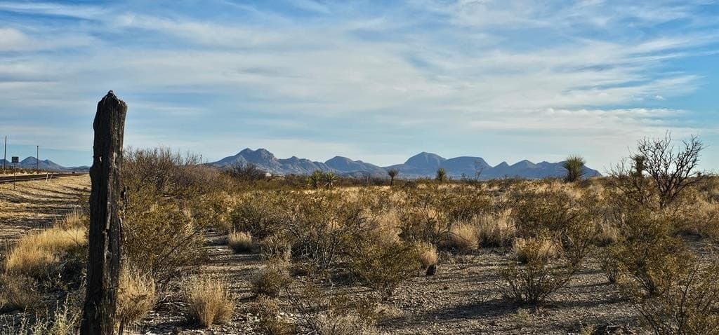 11.5 acres in Brewster County - photo 3