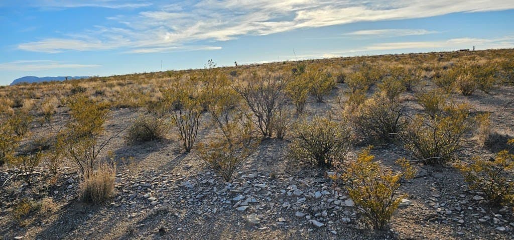 11.5 acres in Brewster County - photo 8