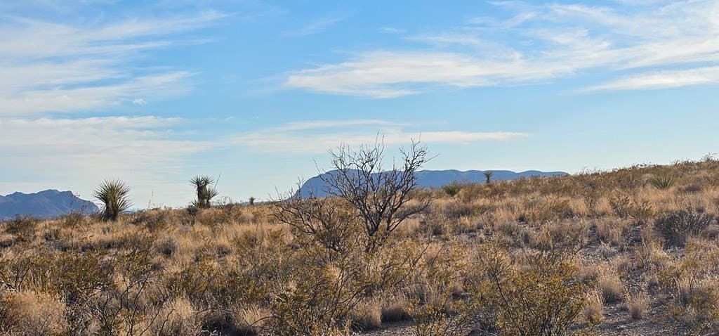 11.5 acres in Brewster County - photo 10