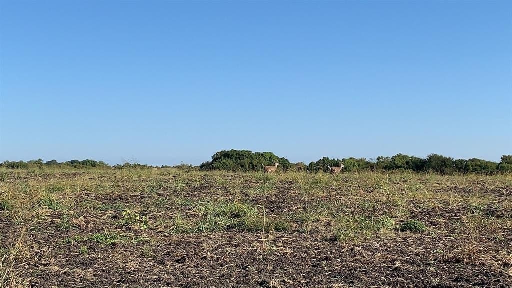 103 acres in Grayson County - photo 7