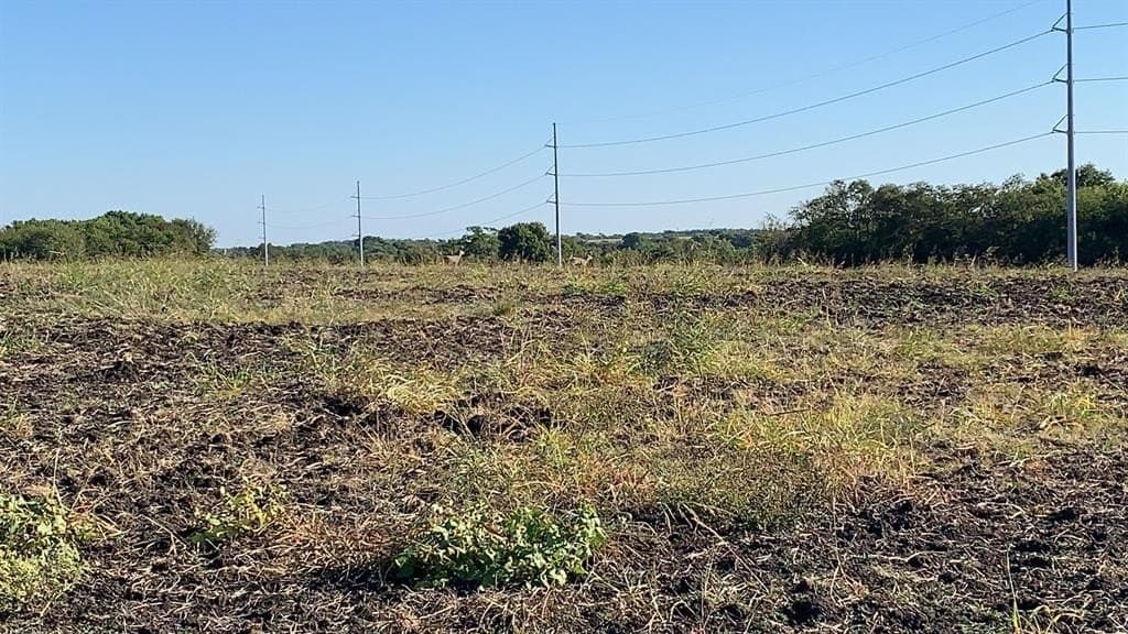 103 acres in Grayson County - photo 9